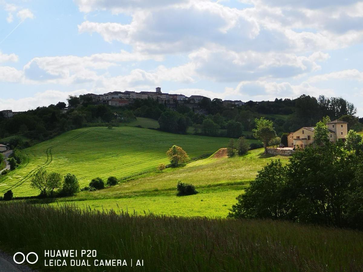 Bed and Breakfast Castel Mazars Castelnau-de-Montmiral Екстер'єр фото