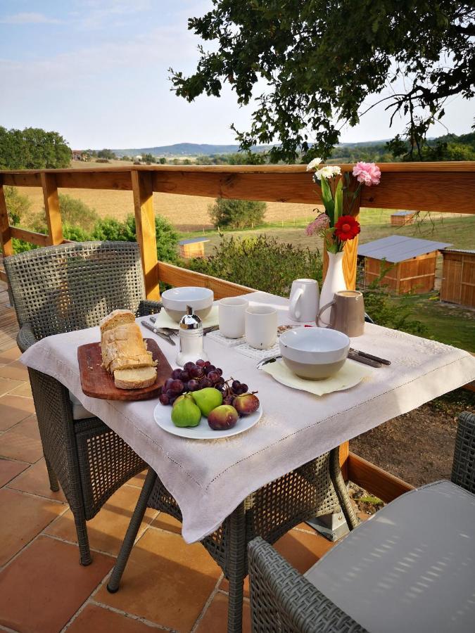 Bed and Breakfast Castel Mazars Castelnau-de-Montmiral Екстер'єр фото